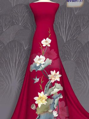 Vai Ao Dai Dep 02fg.jpg