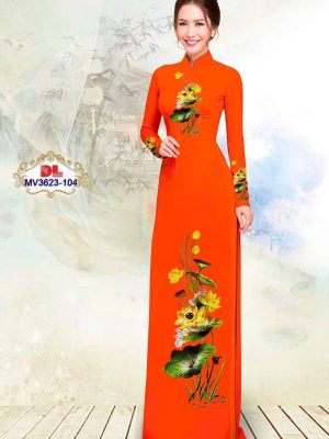 Vai Ao Dai Dep Qdbp.jpg