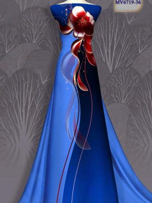 Vai Ao Dai Sang Trong Tvw1.jpg