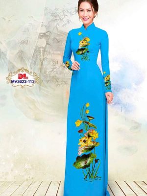 Vai Ao Dai Tinh Te 0651.jpg