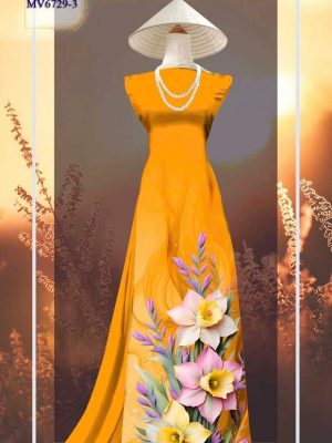 Vai Ao Dai Tinh Te Ev6p.jpg