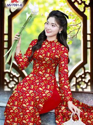 Vai Ao Dai Tinh Te 6n4u.jpg